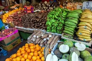 Meshack Malo urges global food security efforts to reach African communities