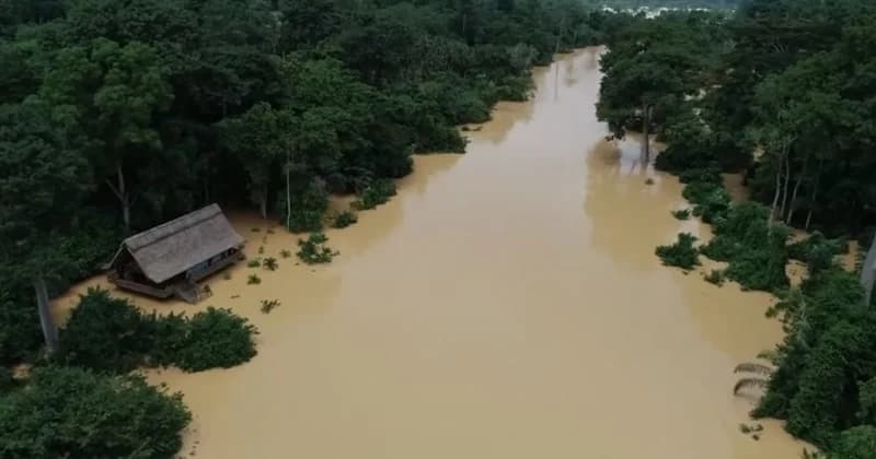 Samartex Timber suspends ecotourism project in Wassa Amenfi