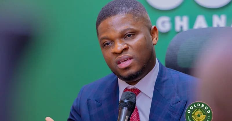 Ghana Gold Board refutes claims that Sammy Gyamfi endorsed illegal mining