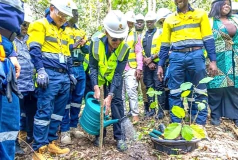 Dr Zanetor Agyeman-Rawlings, Minister of Environment, Science and Technology, planting a tree at the Akyem Mine Restoration Project by Zijin Golden Ridge Limited. Picture: ELVIS NII NOI DOWUONA