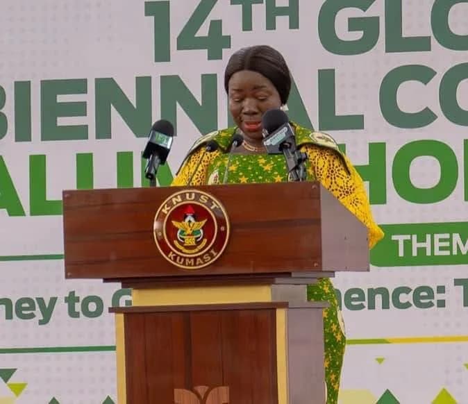 Elizabeth Ofosu-Adjare calls for laboratory and factory partnerships