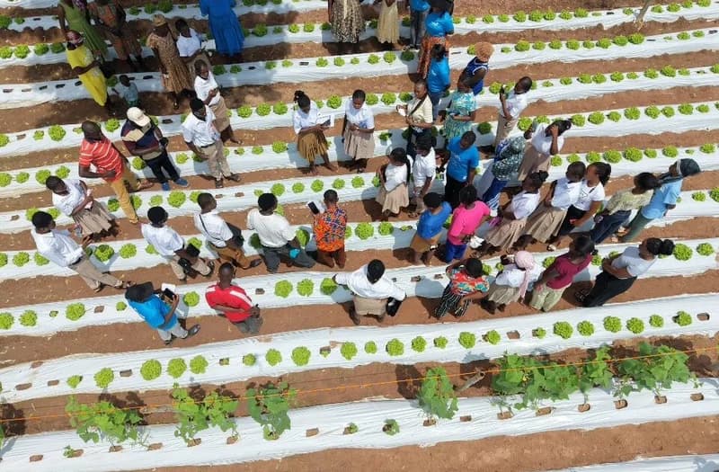 ACHI Project trains 900 farmers in climate-smart horticulture