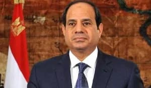 Egypt's parliament authorises military support for Saudi Arabia