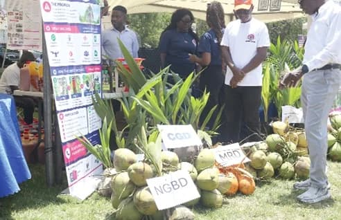 Some products displayed during the exhibition