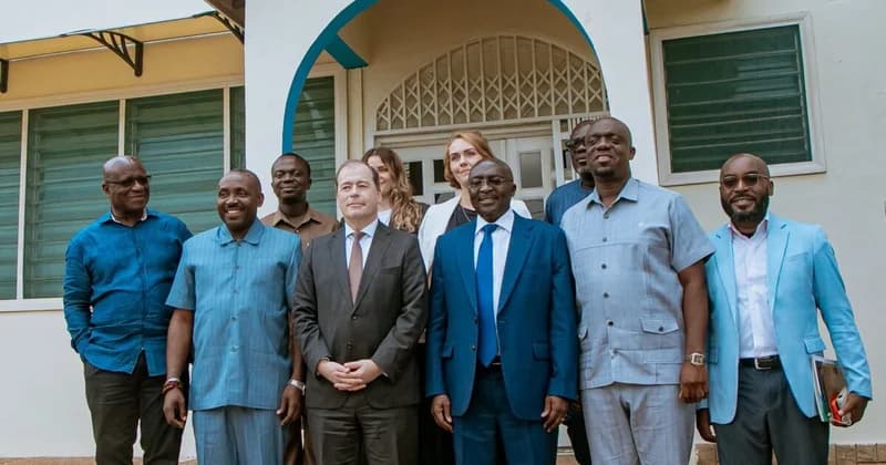 Mahamudu Bawumia outlines NPP reorganisation strategy to KAS