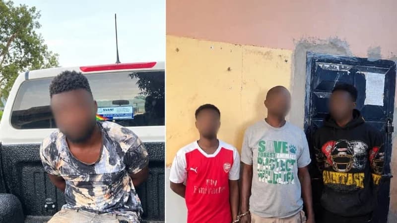 Dambai Circuit Court remands four for Akwantutenten Festival disturbances