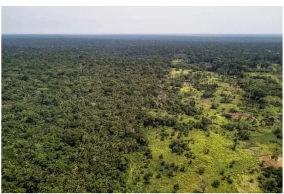 Climate Rights International warns of human rights risks in DRC Green Corridor